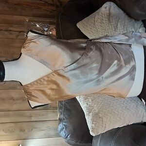 Allison Taylor Shimmering Beige/Gold Sleeveless Silk Blouse Top Size S